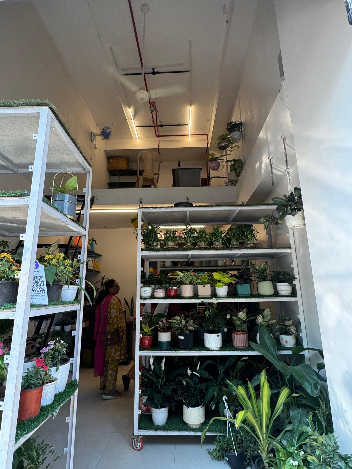 Ground floor shop in Goel Ganga Altus Society Shop for Rent in Kharadi, Pune |  Indiantenant
