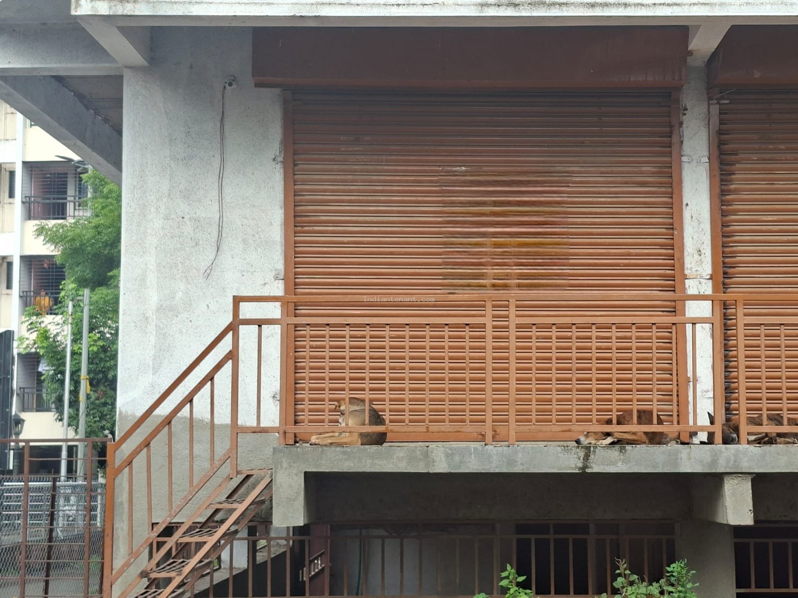 Shop for Rent in Mundhawa, Pune